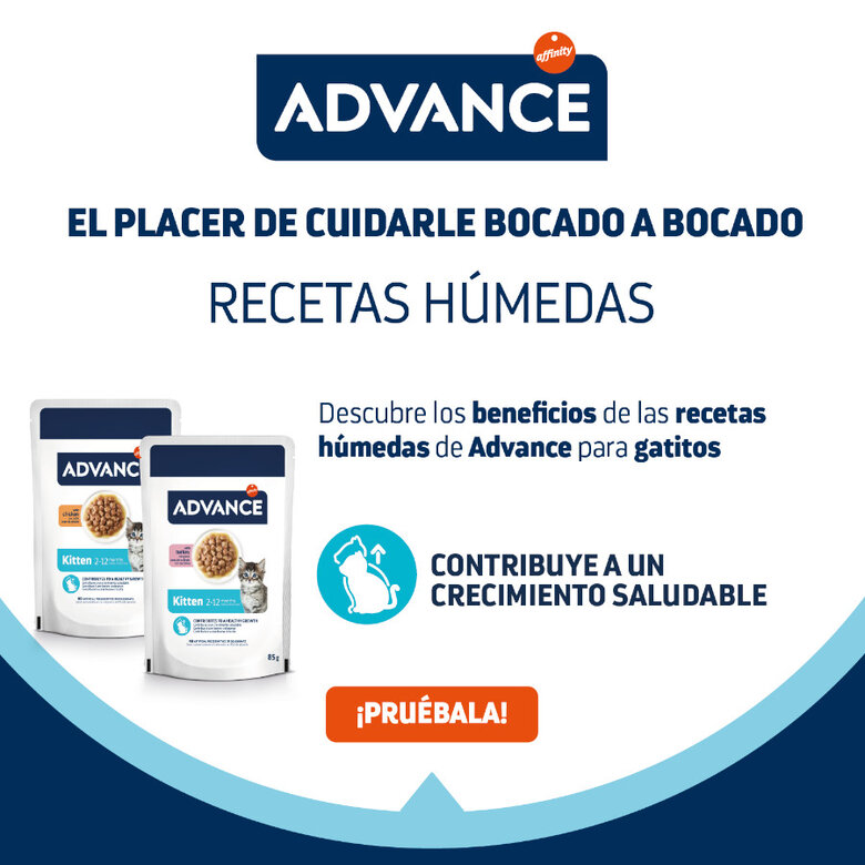 85 g Advance Kitten Peru em molho saquetas,  Imagem número 5 85 g Advance Kitten Peru em molho saquetas, , large Imagem número 5