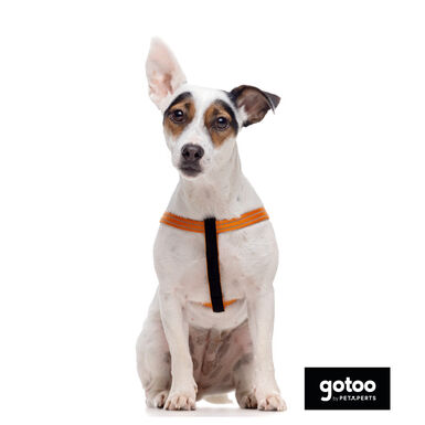 Gotoo Peitoral nylon laranja reflexivo para cães