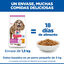 1.5 kg Hill's Small y Mini Senior Science Plan Frango ra&ccedil;&atilde;o para c&atilde;es, , large Indicador imagem n&uacute;mero 6