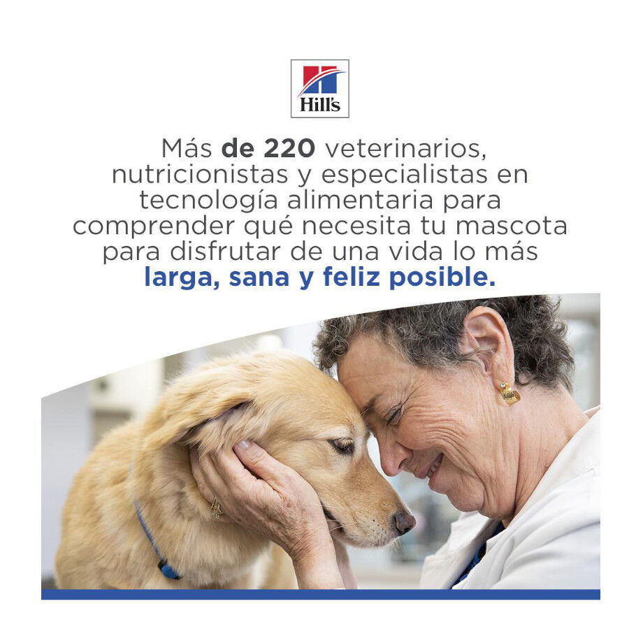 Hill's Science Plan Hipoalerg&eacute;nico Small e Mini Salm&atilde;o ra&ccedil;&atilde;o para c&atilde;es , , large Imagem n&uacute;mero 8