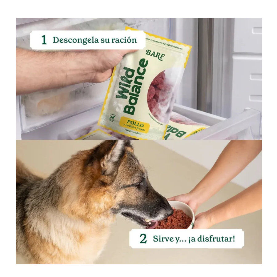 2.5 kg Wild Balance BARF Frango e Legumes alimenta&ccedil;&atilde;o natural congelada para c&atilde;es, , large Imagem n&uacute;mero 6