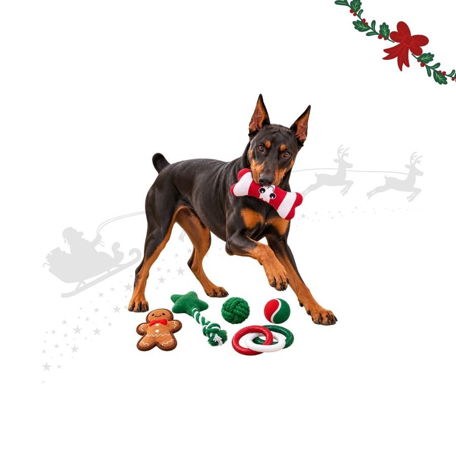 Wonder Christmas Cesto de Brinquedos Premium Brinquedo para c&atilde;es, , large Imagem n&uacute;mero 1