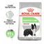 2 x 12 kg Royal Canin Medium Digestive Care ração para cães Pack poupança!, , large Indicador imagem número 2