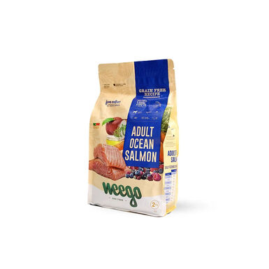 Weego Grain Free Adult Ocean Salmão ração para cães 