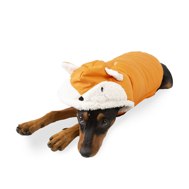 Outech Fox Casaco para cães,  Imagem número 1 Outech Fox Casaco para cães, , large Imagem número 1