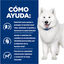 354 g Hill's Prescription Diet Kidney k/d + Mobility j/d guisado de frango e legumes lata para cães, , large Indicador imagem número 3