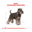 3 kg Royal Canin Adulti Schnauzer Miniatura ração para cães, , large Indicador imagem número 4