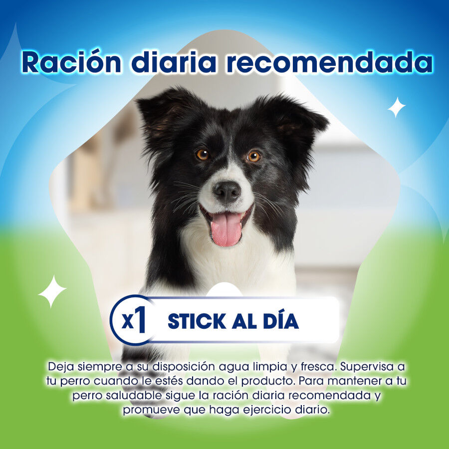 5 sticks Dentalife Snacks Dent&aacute;rios Medium ActivFresh para c&atilde;es , , large Imagem n&uacute;mero 4