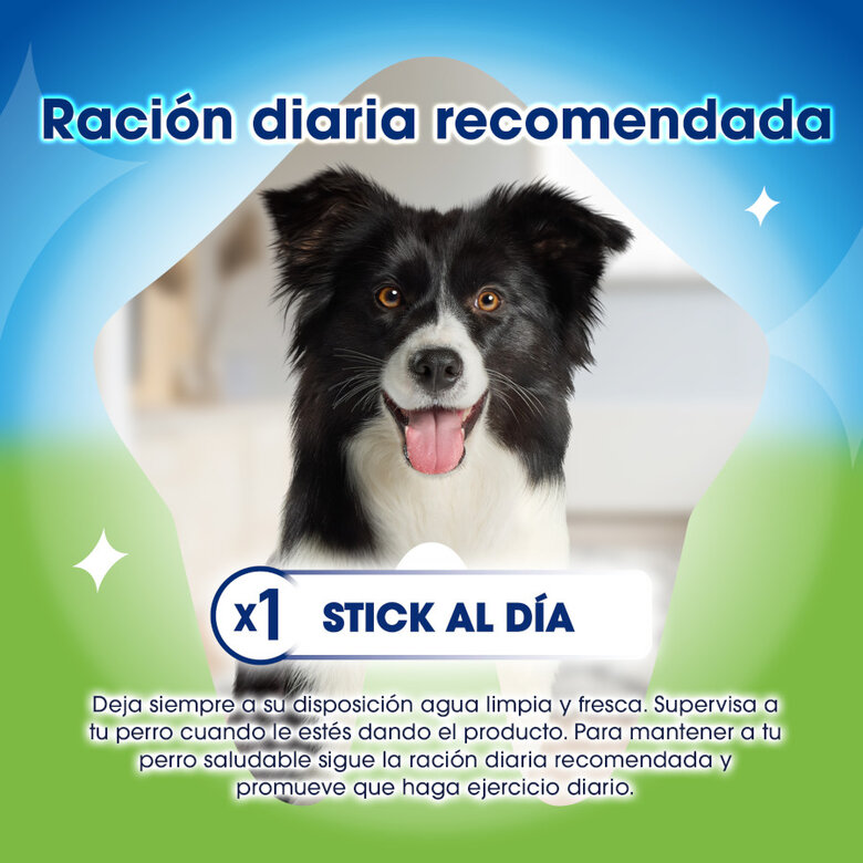 5 sticks Dentalife Snacks Dentários Medium ActivFresh para cães ,  Imagem número 4 5 sticks Dentalife Snacks Dentários Medium ActivFresh para cães , , large Imagem número 4