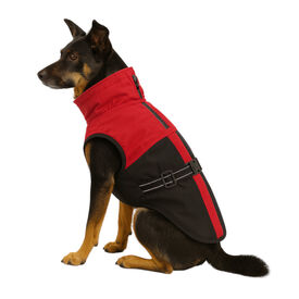 Outech Capa de Chuva Vermelha para cães