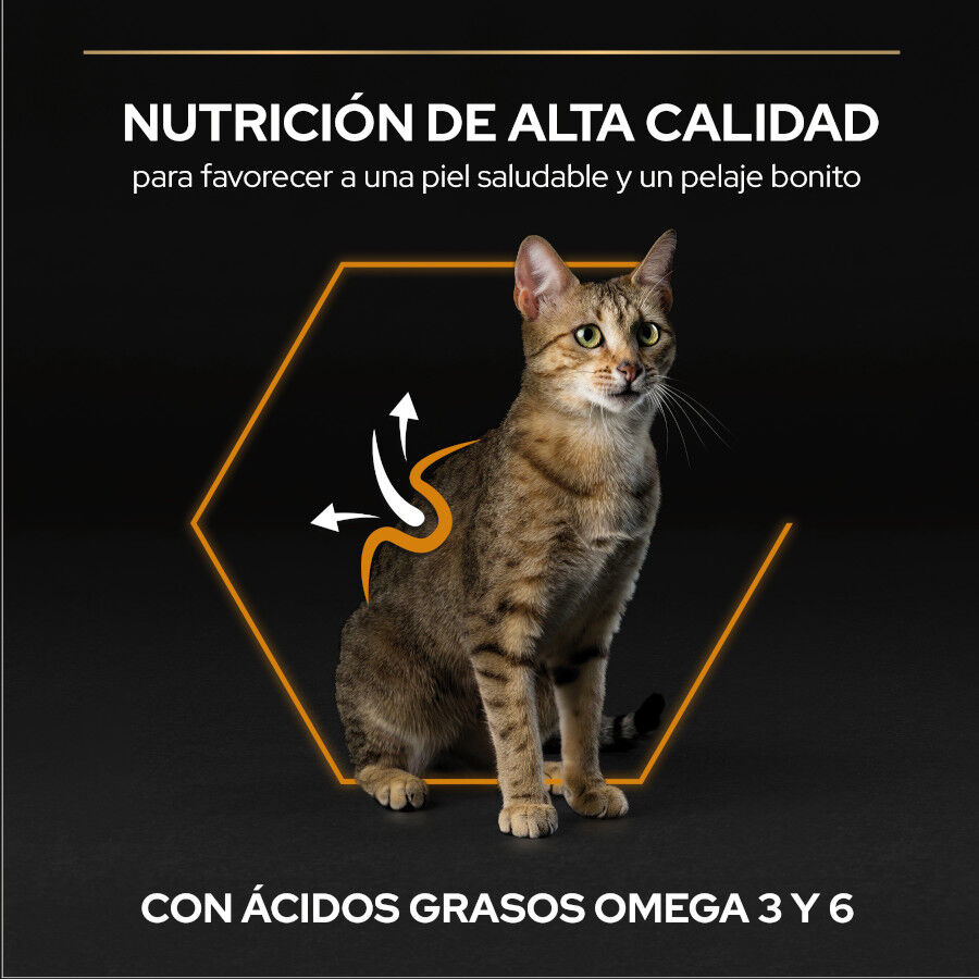 3 kg Pro Plan Adult OptiDerma Salm&atilde;o ra&ccedil;&atilde;o para gatos, , large Imagem n&uacute;mero 6