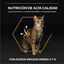 3 kg Pro Plan Adult OptiDerma Salmão ração para gatos, , large Indicador imagem número 6