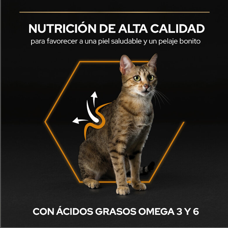 3 kg Pro Plan Adult OptiDerma Salmão ração para gatos,  Imagem número 6 3 kg Pro Plan Adult OptiDerma Salmão ração para gatos, , large Imagem número 6