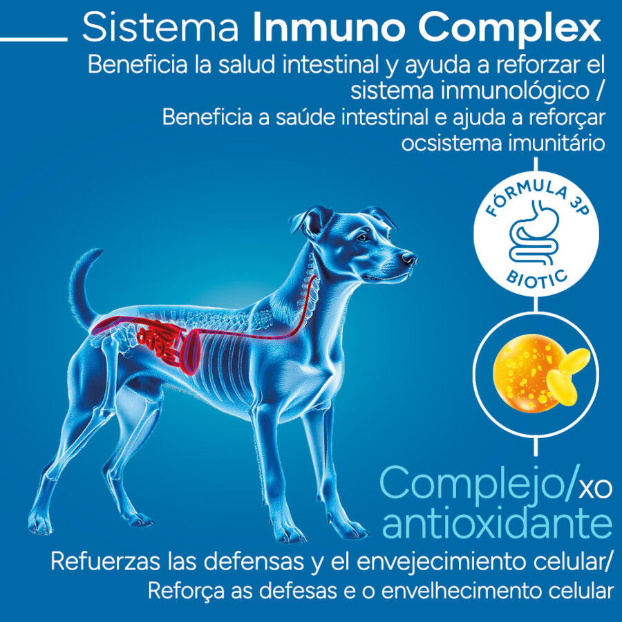 Criadores Cient&iacute;fico light -46% de gordura Adulto Mini Ra&ccedil;&atilde;o de frango para c&atilde;es, , large Imagem n&uacute;mero 3