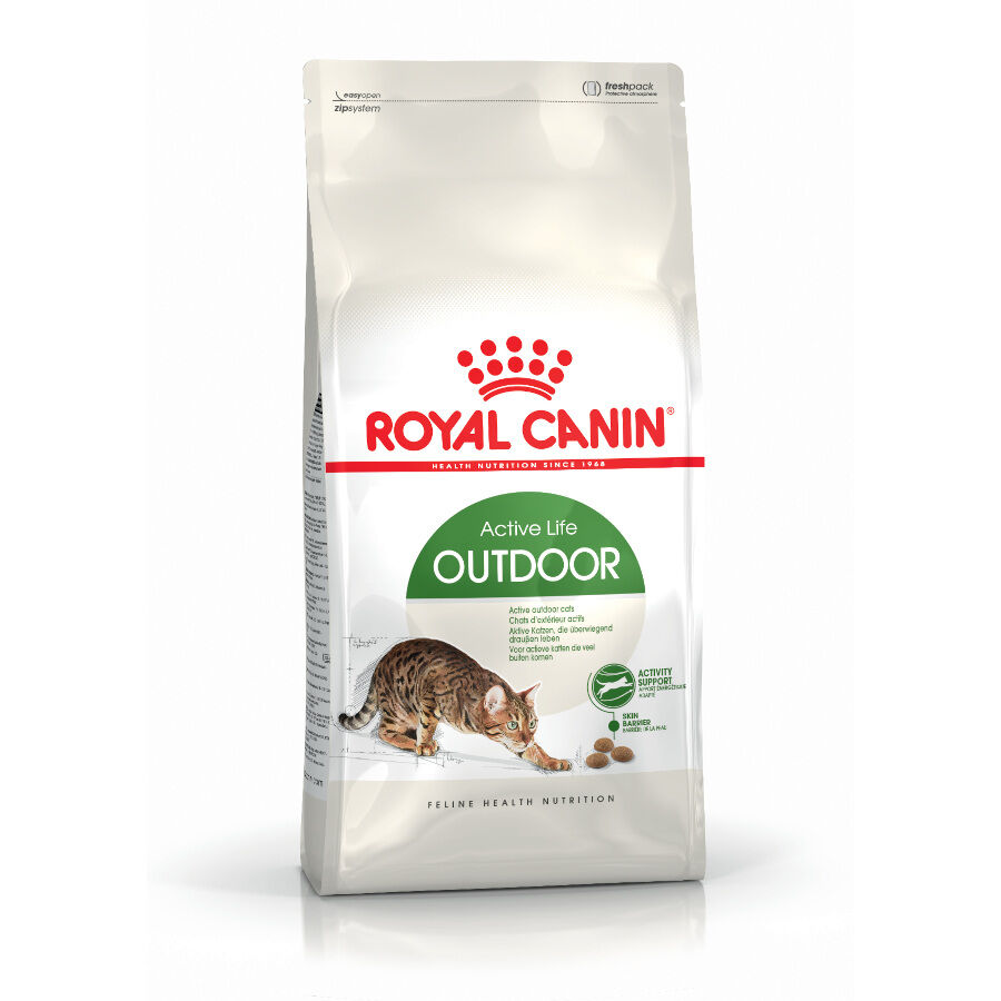 10 kg Royal Canin Active Life Outdoor Ra&ccedil;&atilde;o para gatos, , large Imagem n&uacute;mero 1
