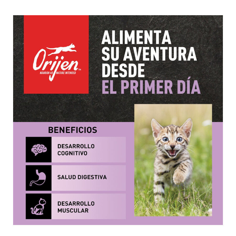 1.8 kg Orijen Kitten Frango com Per&uacute; e Salm&atilde;o ra&ccedil;&atilde;o para gatitos, , large Imagem n&uacute;mero 2