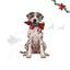 Wonder Christmas C&atilde;o Salsicha XL Peluche para c&atilde;es, , large Indicador imagem n&uacute;mero 1