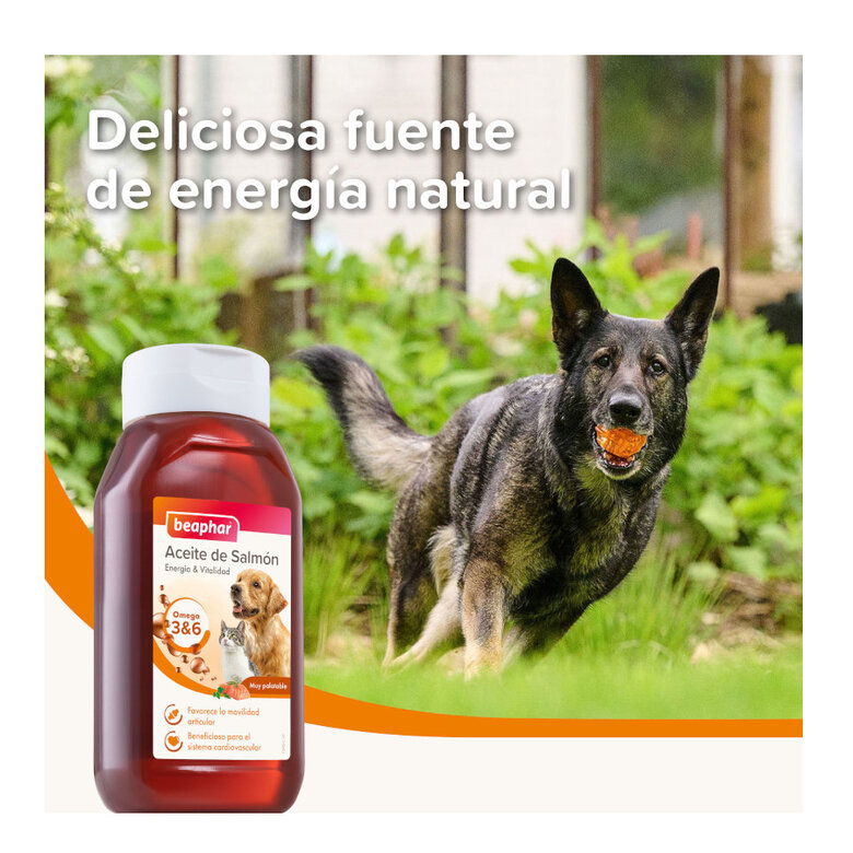 425 ml Beaphar Óleo de Salmão para cães e gatos,  Imagem número 3 425 ml Beaphar Óleo de Salmão para cães e gatos, , large Imagem número 3
