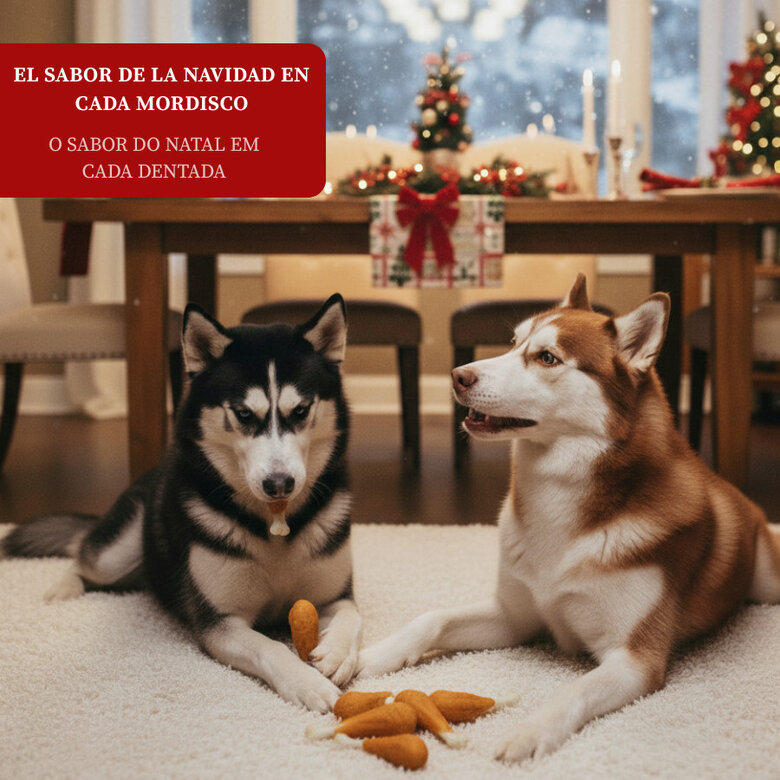 6 snacks Wonder Christmas Asinhas de peru de Natal para cães,  Imagem número 4 6 snacks Wonder Christmas Asinhas de peru de Natal para cães, , large Imagem número 4