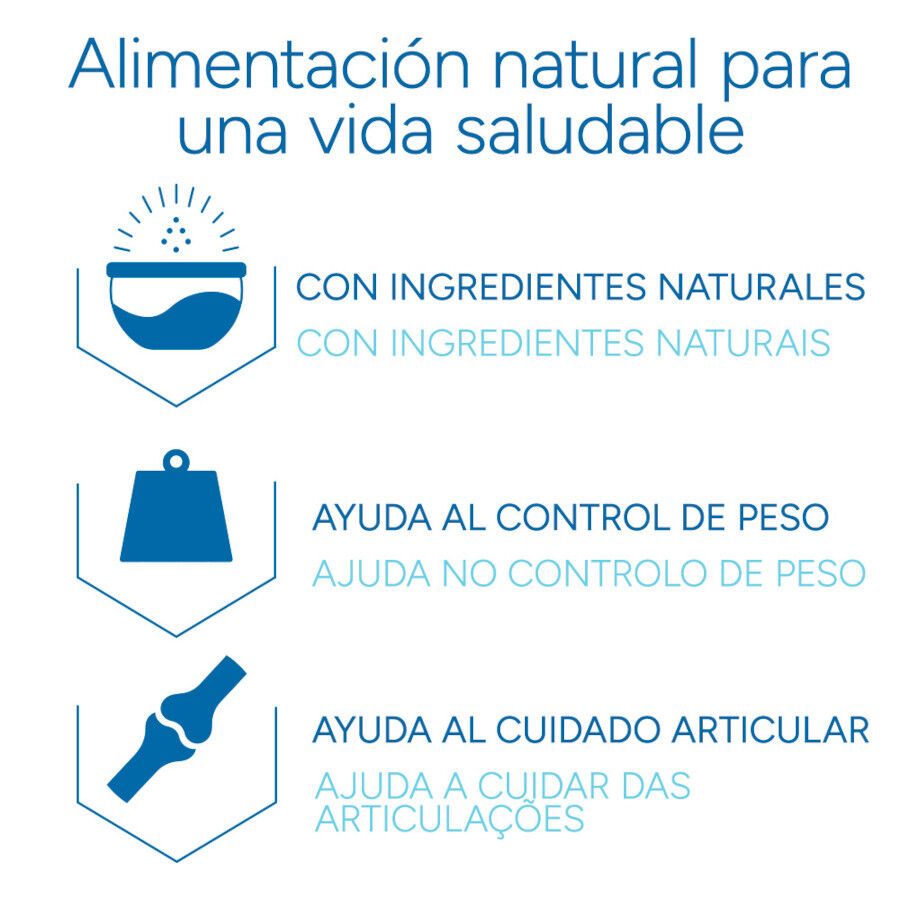 12 kg Criadores Cient&iacute;fico Senior Ra&ccedil;&atilde;o para c&atilde;es de ra&ccedil;as m&eacute;dias e grandes, , large Imagem n&uacute;mero 6