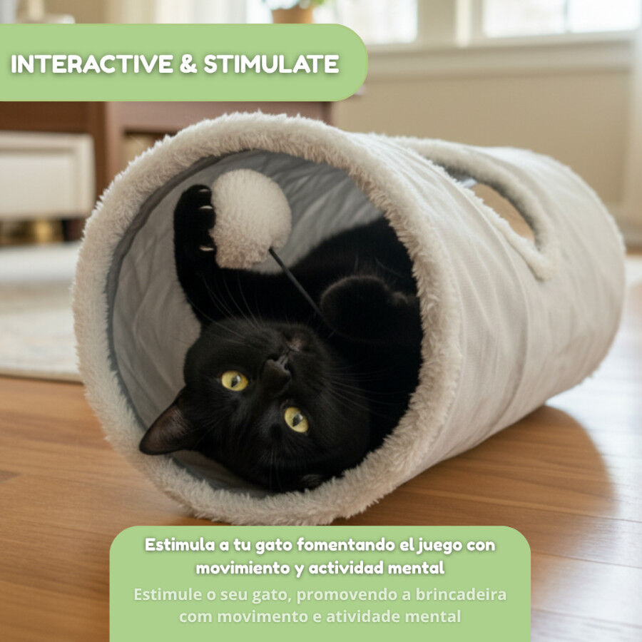 Tootoy! Interactive & stimulate T&uacute;nel suave para gatos, , large Imagem n&uacute;mero 5