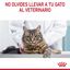 10 kg Royal Canin Appetite Control Care ração para gatos , , large Indicador imagem número 10