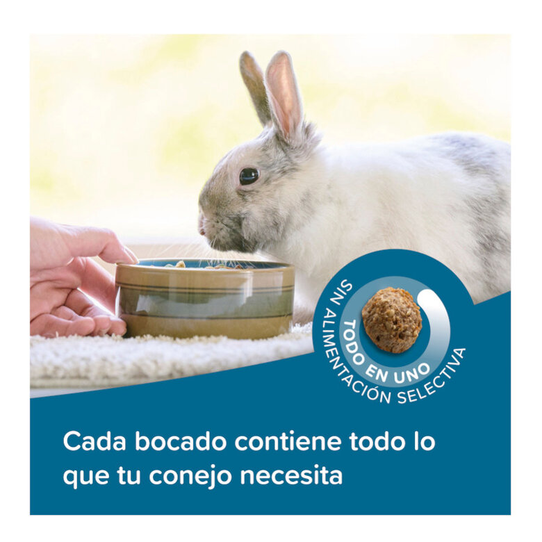 Beaphar Care+ ração para coelhos adultos super premium,  Imagem número 6 Beaphar Care+ ração para coelhos adultos super premium, , large Imagem número 6