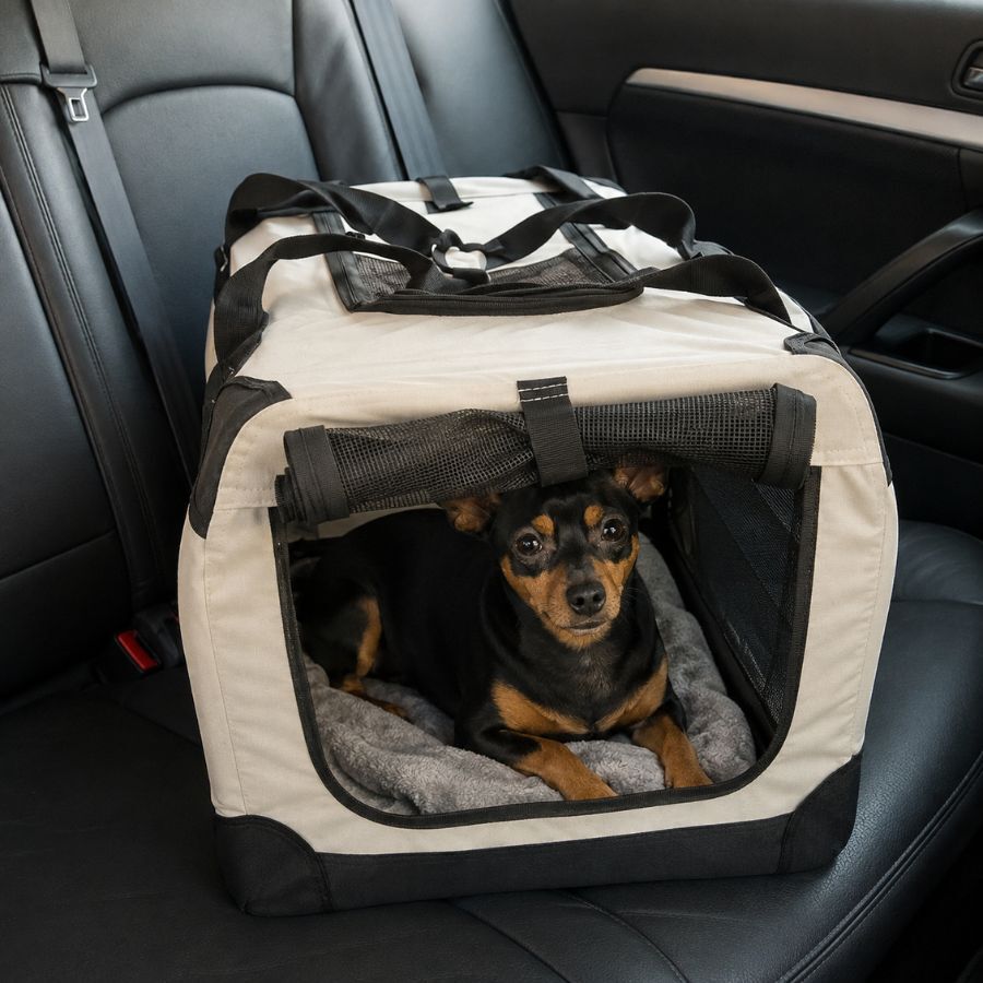 Outech Mochila Transportadora Port&aacute;til para c&atilde;es , , large Imagem n&uacute;mero 1