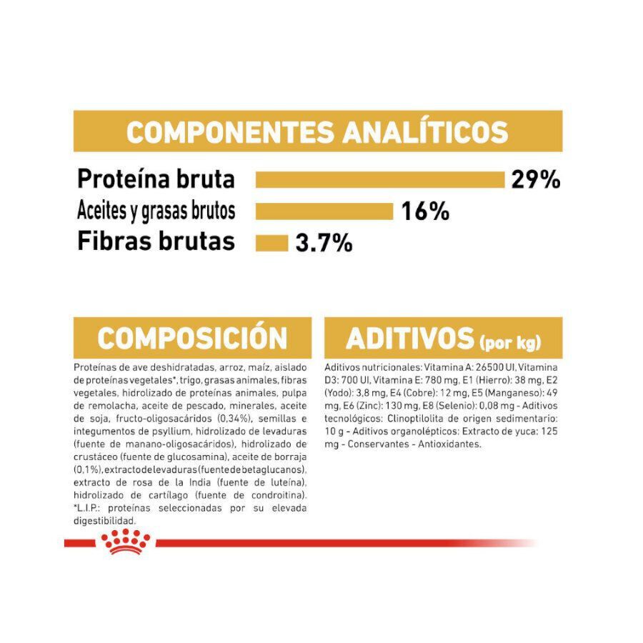 12 kg Royal Canin Puppy Golden Retriever ra&ccedil;&atilde;o para c&atilde;es, , large Imagem n&uacute;mero 8