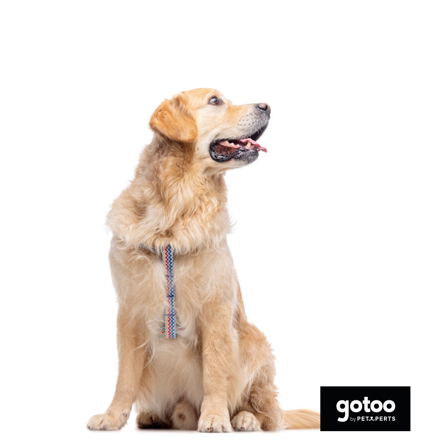 Gotoo Peitoral riscas zig- zag para c&atilde;es, , large Imagem n&uacute;mero 3