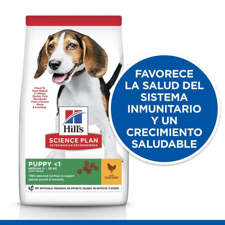 18 kg Hill's Science Plan Puppy Medium Frango ração para cães,  Imagem número 3 18 kg Hill's Science Plan Puppy Medium Frango ração para cães, , large Imagem número 3