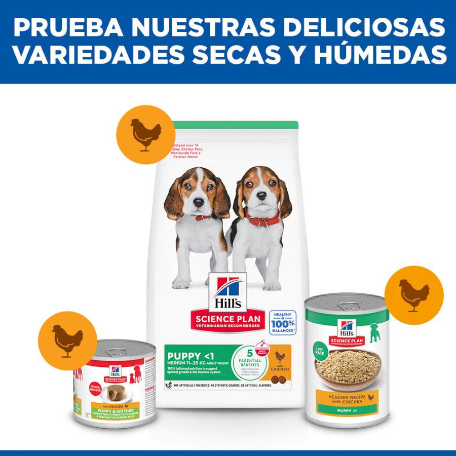 18 kg Hill's Science Plan Puppy Medium Frango ra&ccedil;&atilde;o para c&atilde;es, , large Imagem n&uacute;mero 8