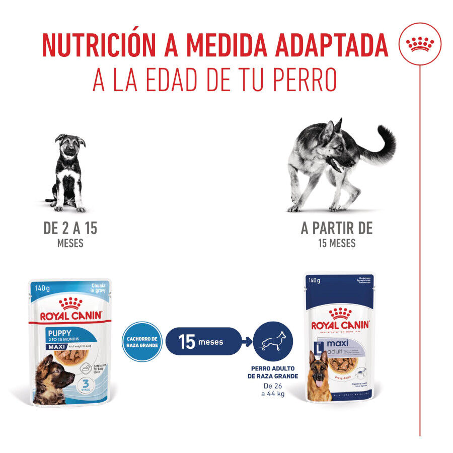 140 g Royal Canin Maxi Puppy Alimento h&uacute;mido para c&atilde;es, , large Imagem n&uacute;mero 6