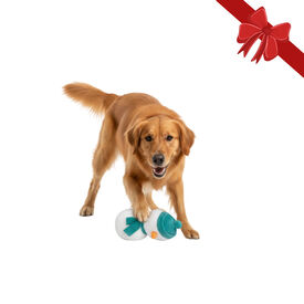 Wonder Christmas Peluche Boneco de Neve Natalício para Cães,  Wonder Christmas Peluche Boneco de Neve Natalício para Cães