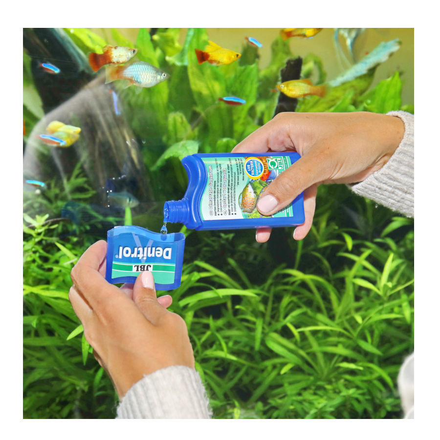 JBL Denitrol Ativador Biol&oacute;gico para aqu&aacute;rios de &aacute;gua doce e salgada, , large Imagem n&uacute;mero 3