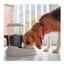 Ferplast Zenith Dispensador de Ração para animais de estimação, , large Indicador imagem número 3