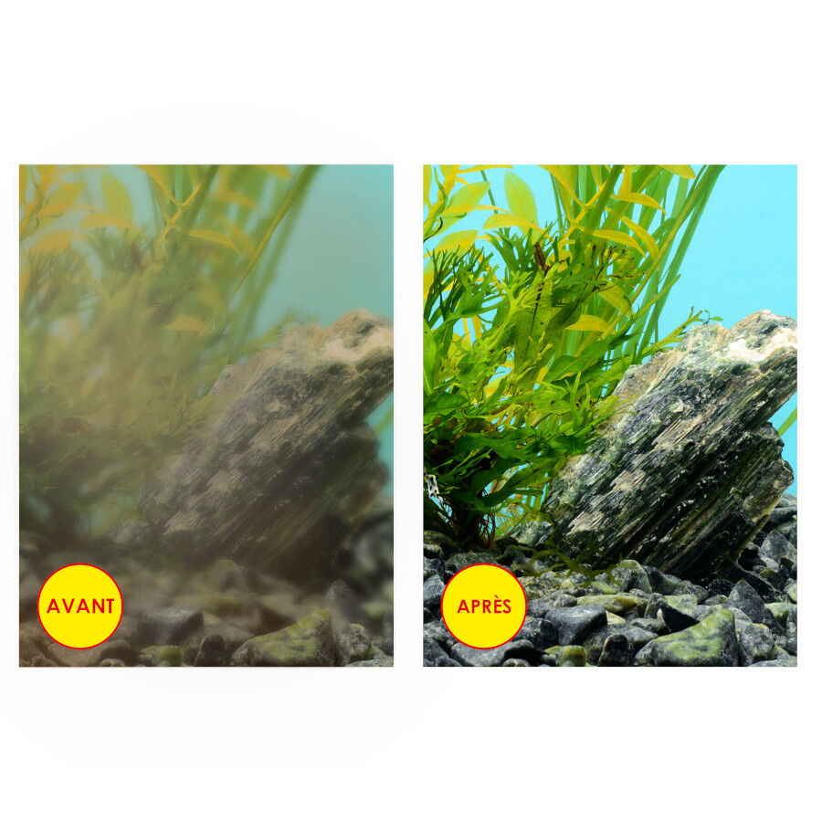 Ciano Pacote Filtro de Reposi&ccedil;&atilde;o para Aqu&aacute;rios, , large Imagem n&uacute;mero 6