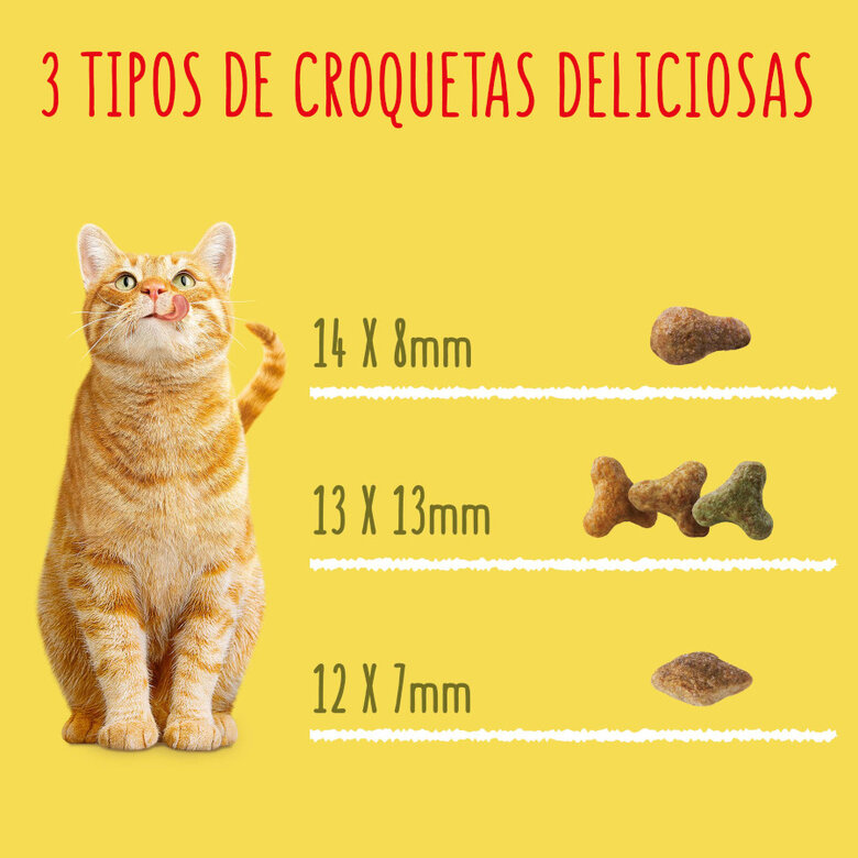 20 kg Friskies Adult Vaca, Frango e Legumes ração para gatos,  Imagem número 8 20 kg Friskies Adult Vaca, Frango e Legumes ração para gatos, , large Imagem número 8