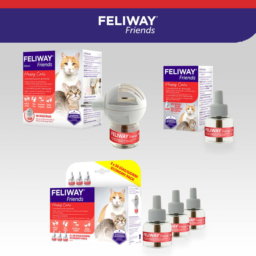 Feliway Friends Difusor + Recarga para gatos, , large Imagem n&uacute;mero 8