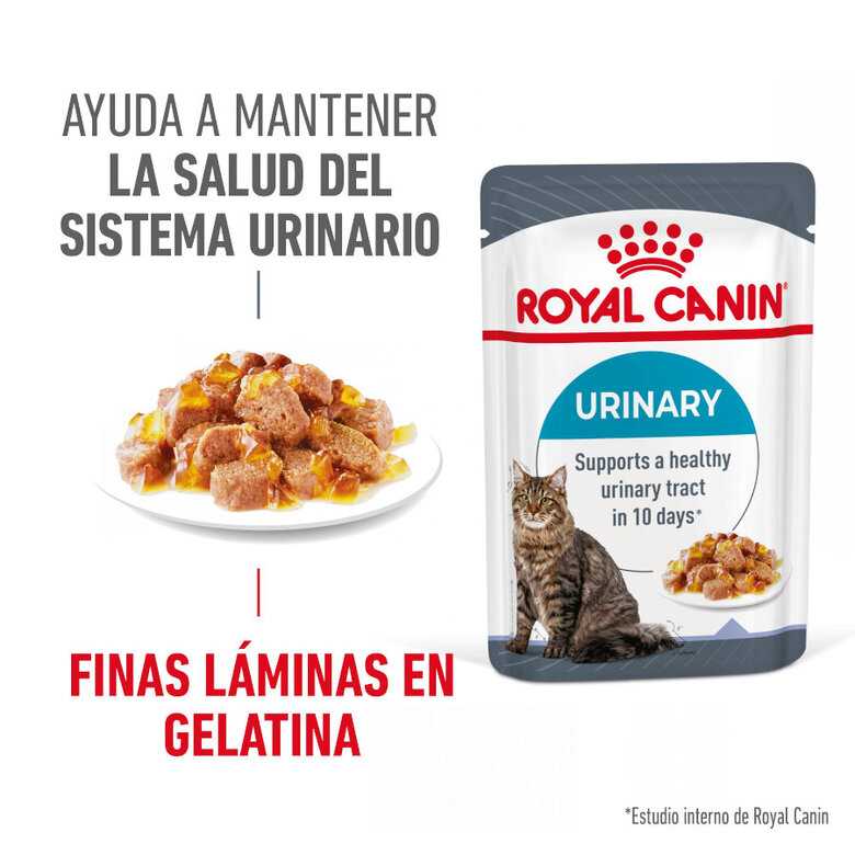 Royal Canin Urinary Care Saquetas em Gelatina para Gatos, , large image number null