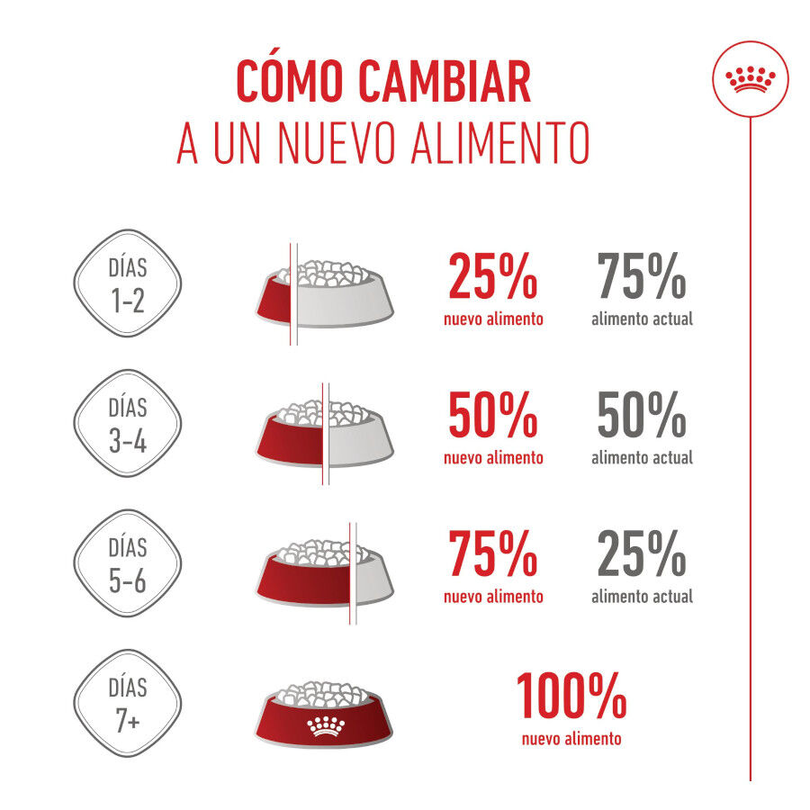 3 kg Royal Canin X-Small Puppy ra&ccedil;&atilde;o para c&atilde;es, , large Imagem n&uacute;mero 10