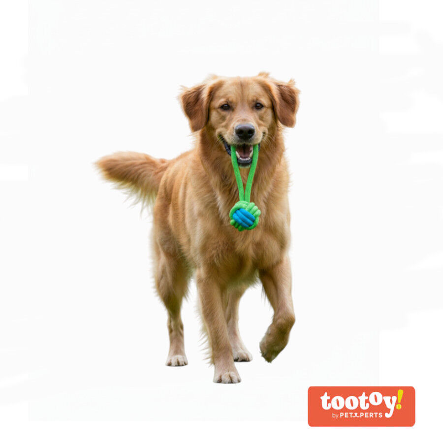 Tootoy! Pull Bola de corda com pega para c&atilde;es, , large Imagem n&uacute;mero 8