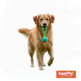 Tootoy! Pull Bola de corda com pega para c&atilde;es