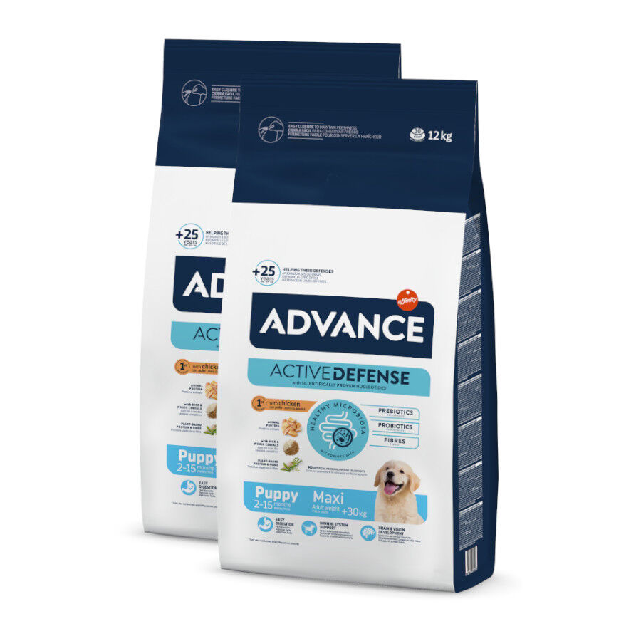 2 x 12 kg Advance Active Defense Maxi Puppy Frango e Arroz ra&ccedil;&atilde;o para c&atilde;es Pack poupan&ccedil;a!, , large Imagem n&uacute;mero 1