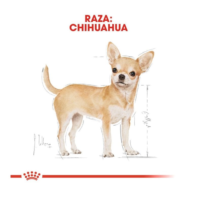 85 g Royal Canin Adult Chihuahua patê em saquetas para cães,  Imagem número 4 85 g Royal Canin Adult Chihuahua patê em saquetas para cães, , large Imagem número 4