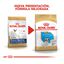 10 kg Royal Canin Puppy Bulldog Francês ração para cães, , large Indicador imagem número 3