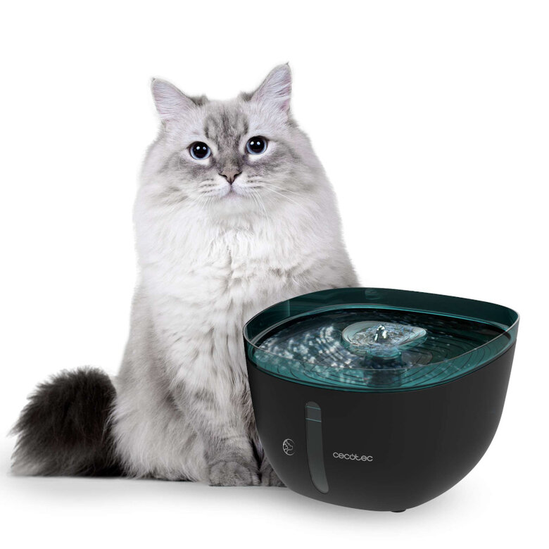 Cecotec Pumba 2200 Refresh Bebedouro Automático para cães e gatos,  Imagem número 3 Cecotec Pumba 2200 Refresh Bebedouro Automático para cães e gatos, , large Imagem número 3