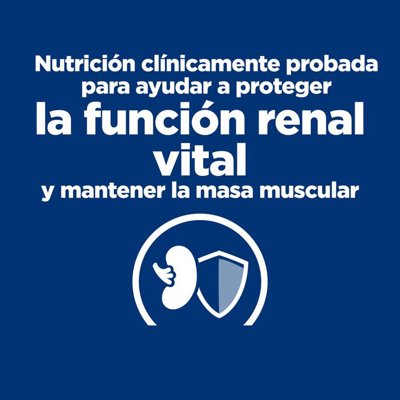Hill's Prescription Diet Kidney Care Frango ração para gatos, , large image number null