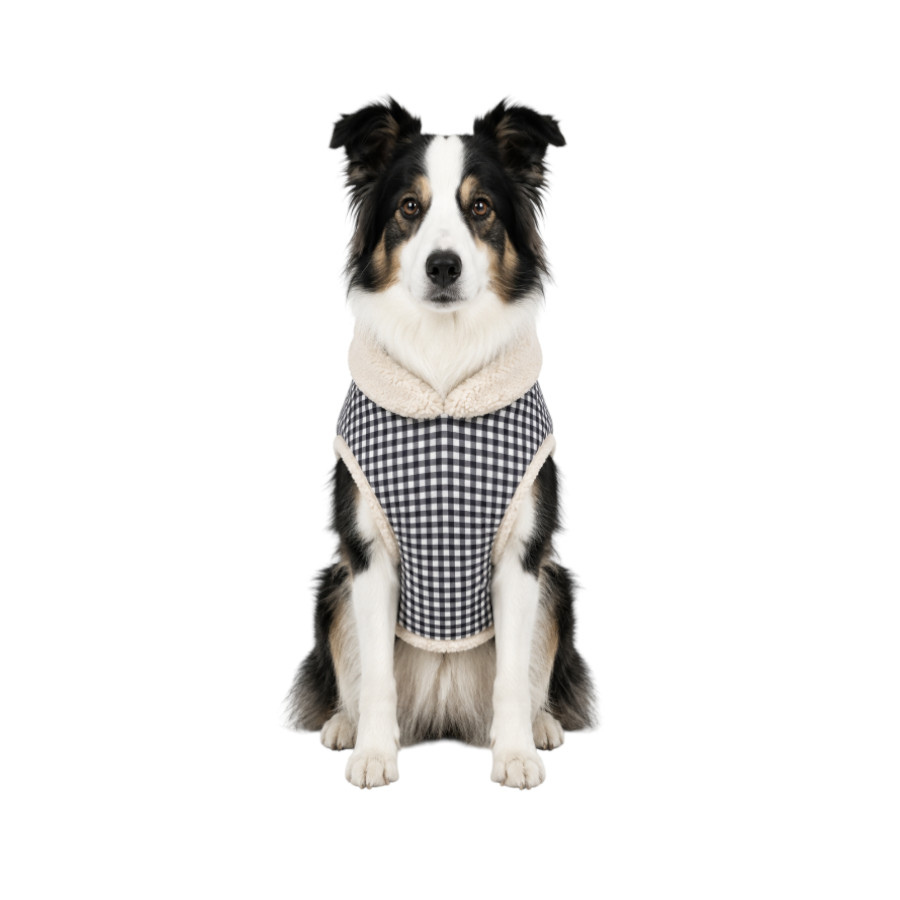 Gotoo Casaco Azul com Padr&atilde;o Vichy para c&atilde;es, , large Imagem n&uacute;mero 7