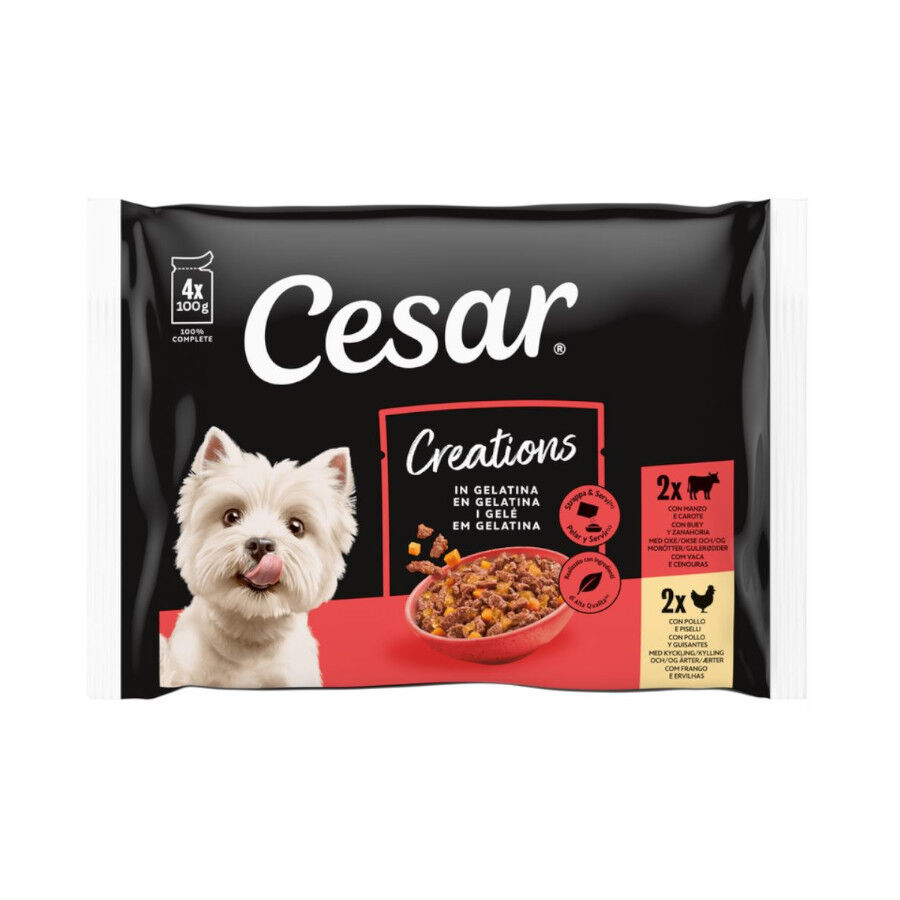 4 saquetas x 100 g Cesar Mistura de Carnes Geleia em Saquinho para C&atilde;es - Multipack, , large Imagem n&uacute;mero 1